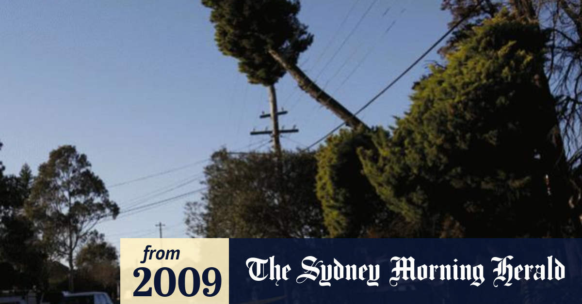 Video Windy weather lashes Sydney
